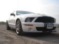 Essai Shelby Mustang GT500 !