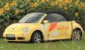 VW et Daimler pour les biocarburants