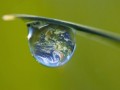 Le point sur le Grenelle de l'environnement