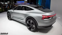 Audi Elaine