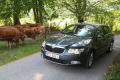 Essai Skoda Superb : Salon � prix discount