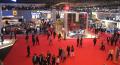 Mondial automobile 2008 : �a promet !
