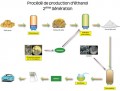 Quel avenir pour les biocarburants ?