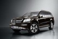 Mercedes GL, La cuvée 2010 : L'offensive tout terrain