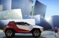 Fornasari Racing Buggy Concept