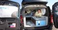 Dacia Young Activity Van III : bed and breakfast