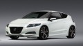 1ères photos du Honda CRZ Concept 2009