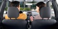 Nouveau permis de conduire : c'est parti