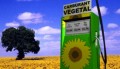 La production globale de biocarburants a atteint des records historiques en 2010