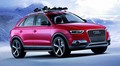 Audi Q3 Vail Concept