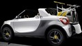 Smart for-us : nouvelles images
