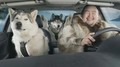 Super Bowl 2012 : la Suzuki Kizashi Sport, voiture préférée des Inuits
