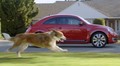 Volkswagen : la pub du Superbowl entre chien et Star Wars