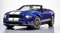 Ford Mustang Shelby GT500 Convertible