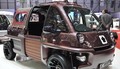 Mia rox : un concept caméléon