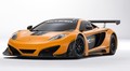 McLaren MP4-12C Can Am Edition : Un si beau jouet !