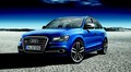Audi choisit la rareté avec son SQ5 TDI Exclusive Concept