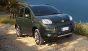 Essai Fiat Panda 4 x 4 : douée par nature