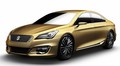 Suzuki Authentics Concept