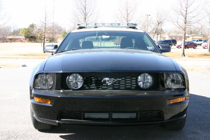 87e5d6e156.jpg