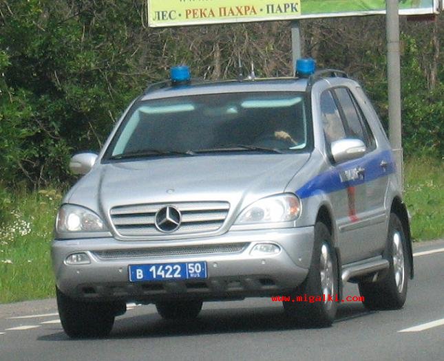 a218aa6bf3.jpg