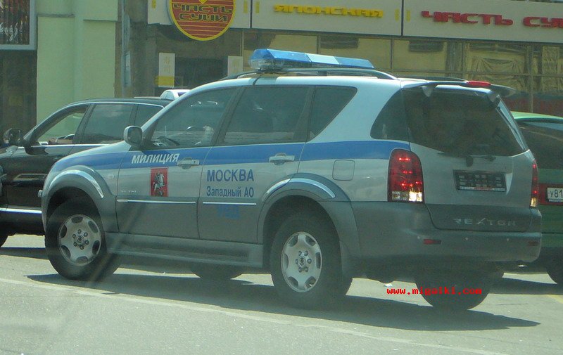 ac2deb3c35.jpg