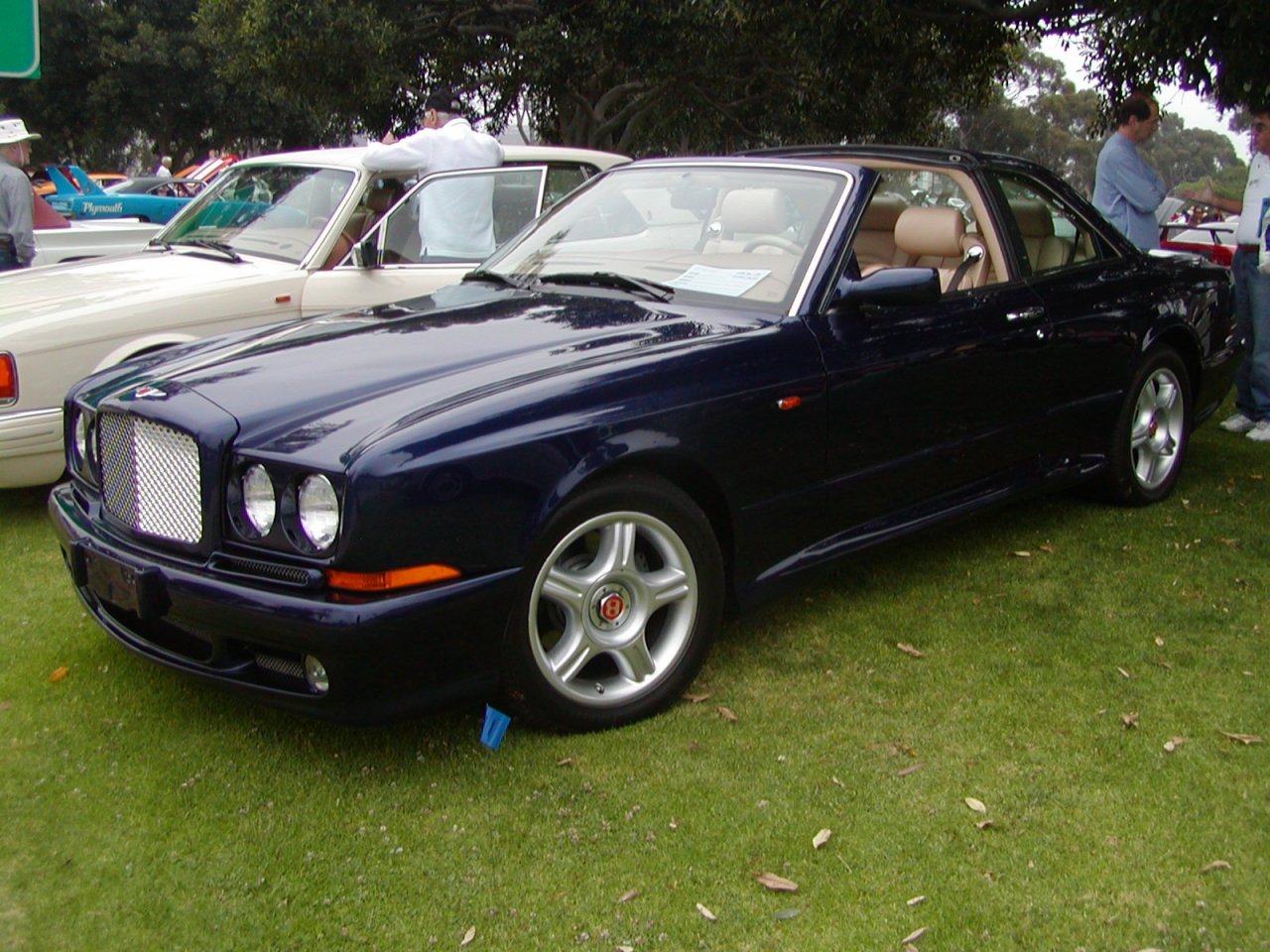 dd3fb18003.jpg