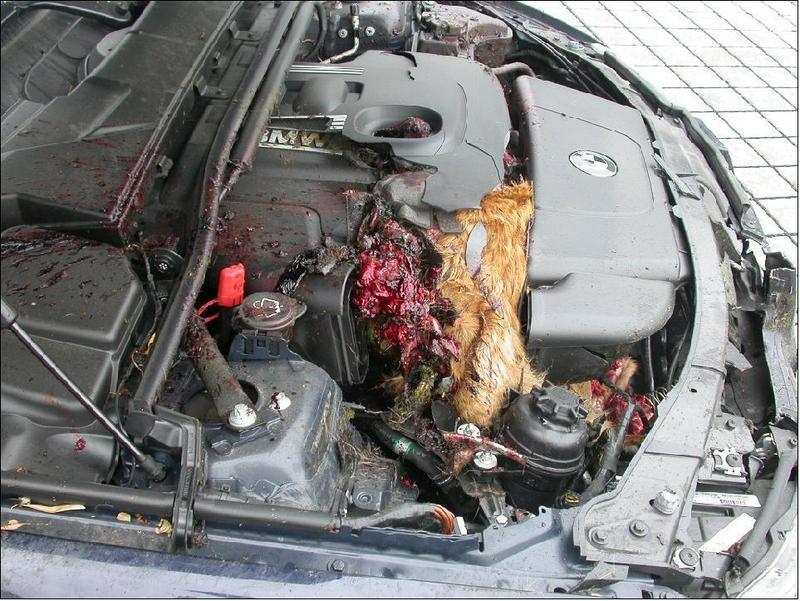 http://up.autotitre.com/forum/up/e0f1a5dcee.jpg