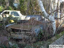 [img_mini]05dcf36227.jpg[/img_mini]