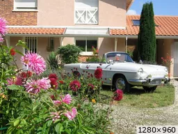 [img_mini]078edeb2ae.jpg[/img_mini]