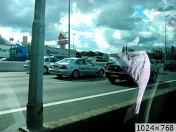 [img_mini]10a65ceb64.jpg[/img_mini]
