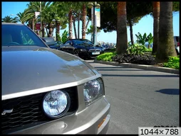 [img_mini]16590a0434.jpg[/img_mini]