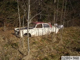 [img_mini]1a5130d7de.jpg[/img_mini]