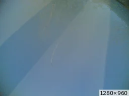 [img_mini]2177eea411.jpg[/img_mini]