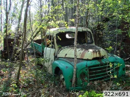 [img_mini]25a94cb722.jpg[/img_mini]