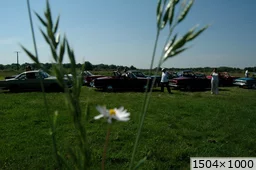 [img_mini]269917c0d5.jpg[/img_mini]