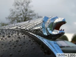 [img_mini]285853f778.jpg[/img_mini]