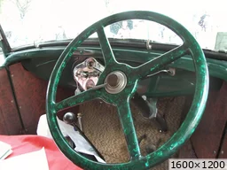[img_mini]2897eea12a.jpg[/img_mini]