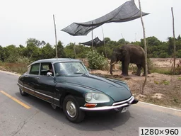 [img_mini]2abcb91a89.jpg[/img_mini]