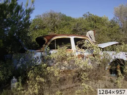 [img_mini]2b2d373391.jpg[/img_mini]