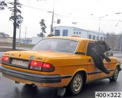 [img_mini]2bc2bfeadf.jpg[/img_mini]