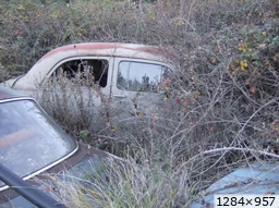 [img_mini]2cff9b8433.jpg[/img_mini]