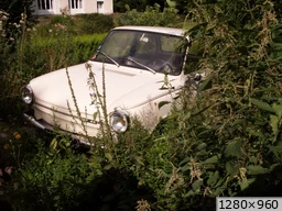 [img_mini]312743ad6c.jpg[/img_mini]