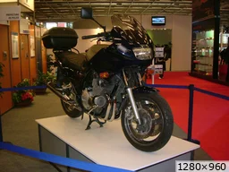 [img_mini]34e36d1eb6.jpg[/img_mini]