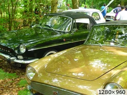 [img_mini]3a12f3eec1.jpg[/img_mini]