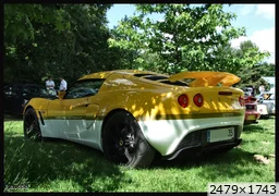lotus