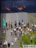 [img_mini]41c1fdf417.jpg[/img_mini]