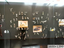 [img_mini]43a4972da7.jpg[/img_mini]