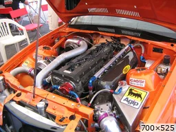 [img_mini]4ad4c814f8.jpg[/img_mini]