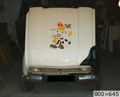 [img_mini]4f0bafb093.jpg[/img_mini]